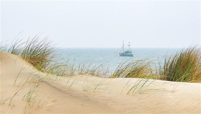 Die perfekten Ferienhäuser mit Meerblick an der Nordsee in Dänemark